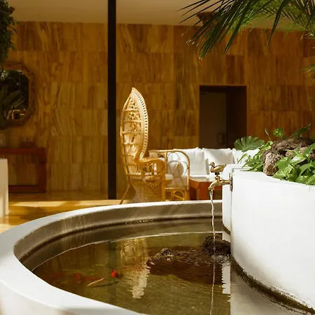 Otel Precise Tenerife Puerto de la Cruz (Tenerife)